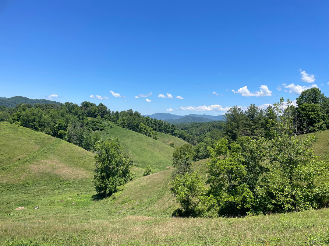 Sandy Bottom Trail Rides-Marshall必去景点