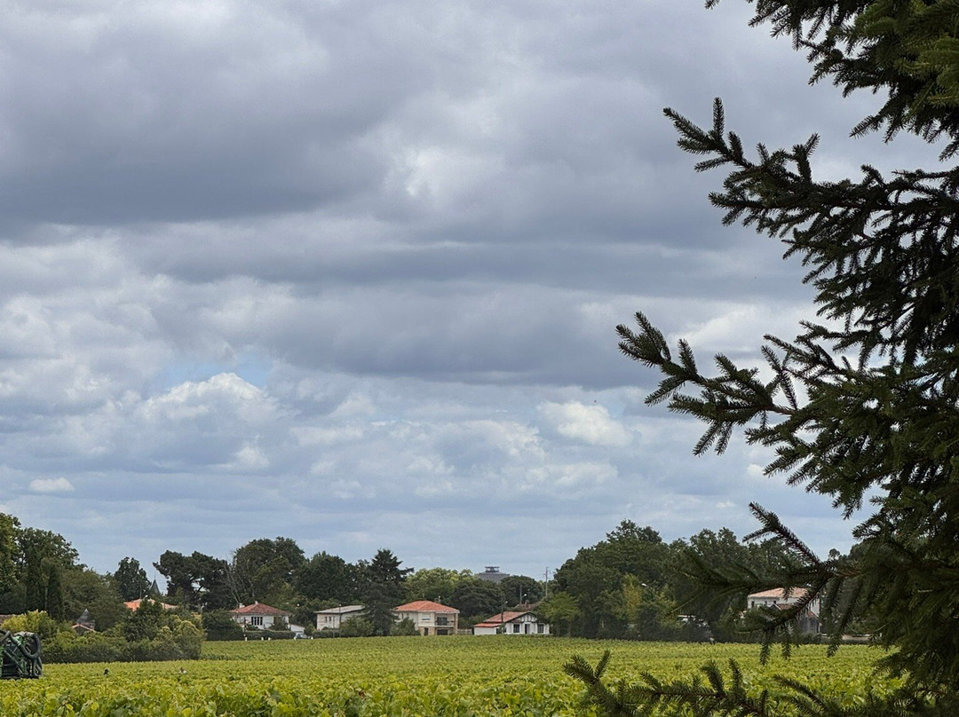 Château Pape Clément-Pessac必去景点
