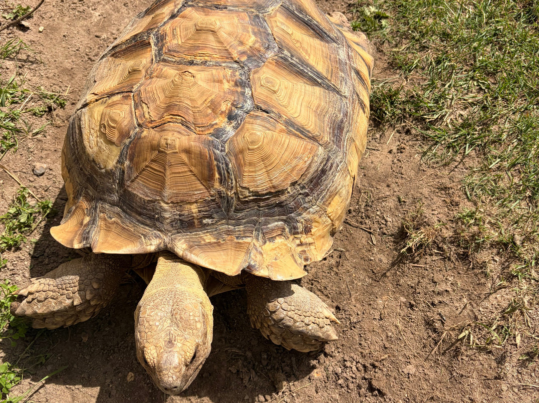 Mablethorpe Seal Sanctuary and Wildlife Centre-Mablethorpe必去景点