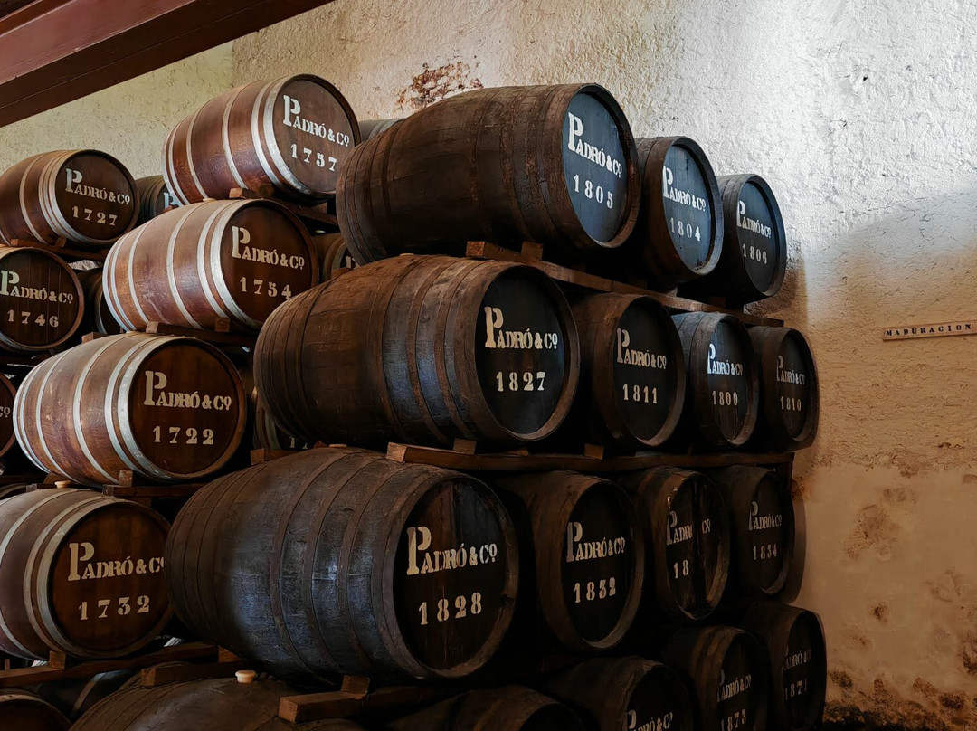 Casa Vermouth Padró-Brafim必去景点