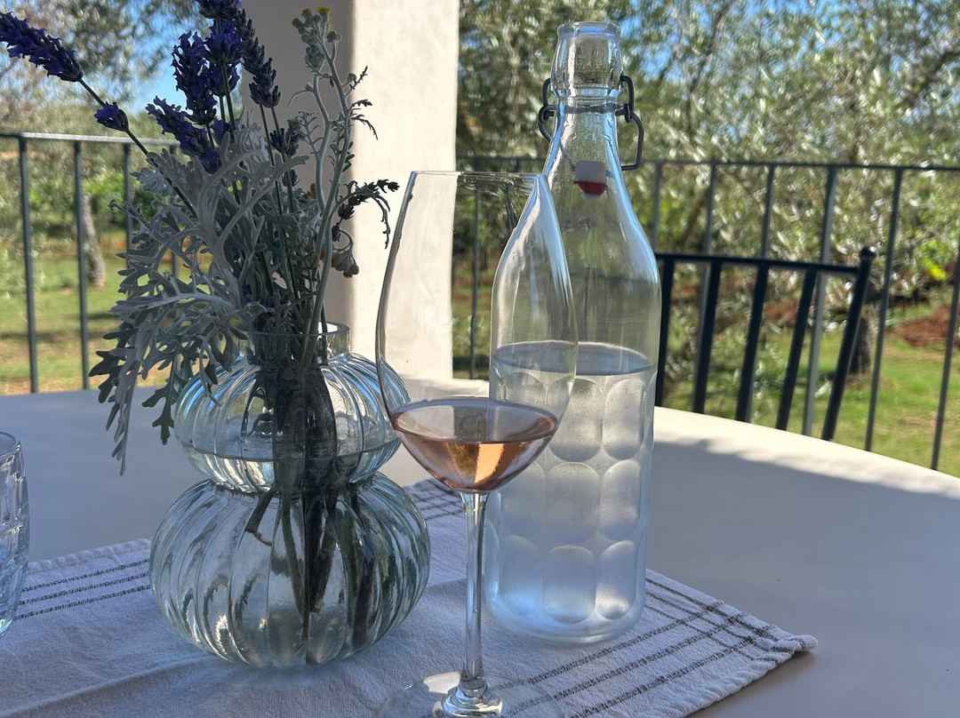 Mare Wines & Olive Oil-罗维尼必去景点