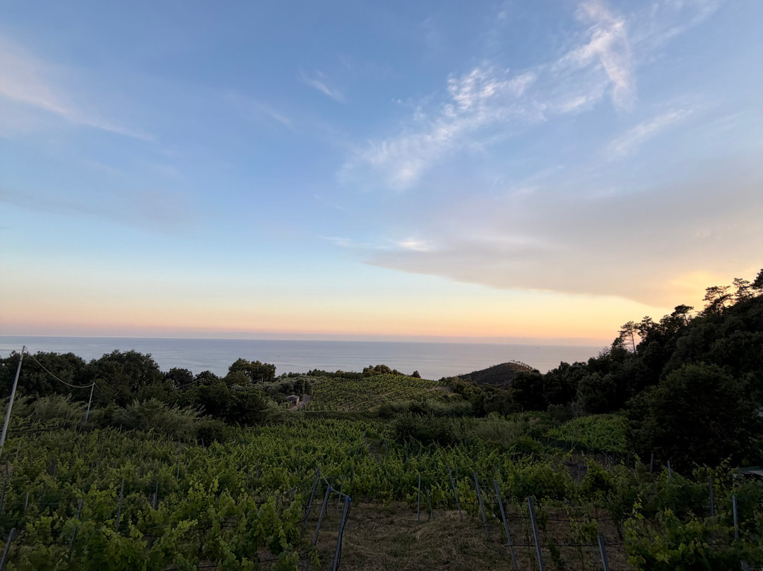 Cà Du Ferrà Wine & Tasting-Bonassola必去景点