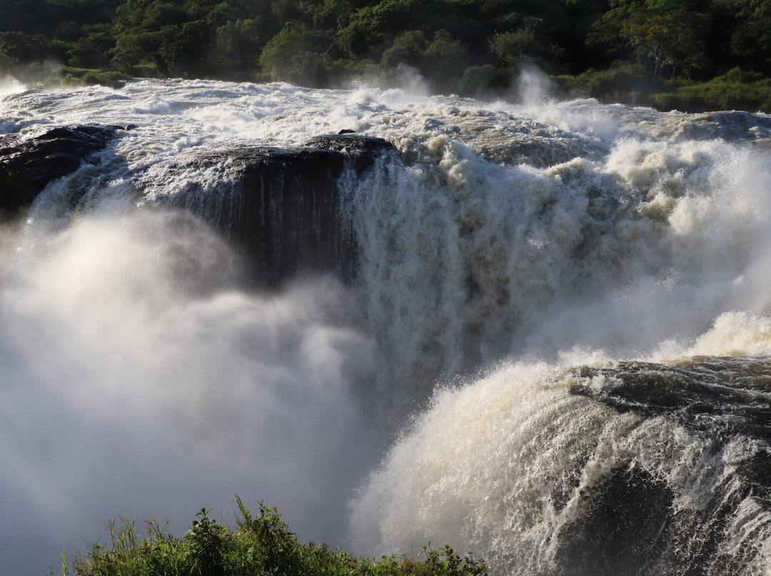 Iconic Africa Safaris-坎帕拉必去景点