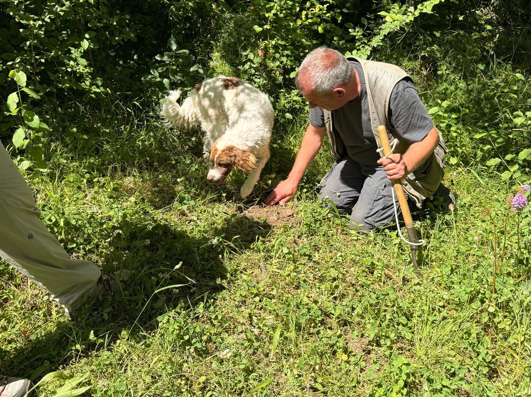Truffle in Tuscany-圣米尼亚托必去景点
