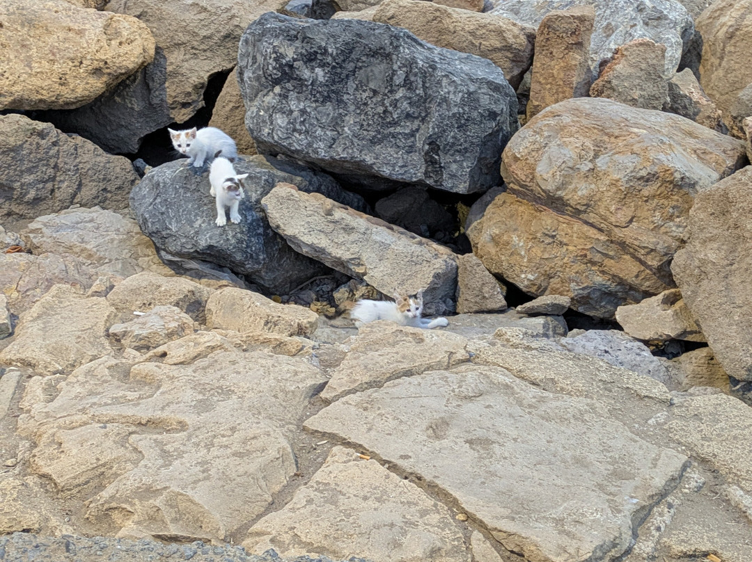 Plage de Rabat-拉巴特必去景点