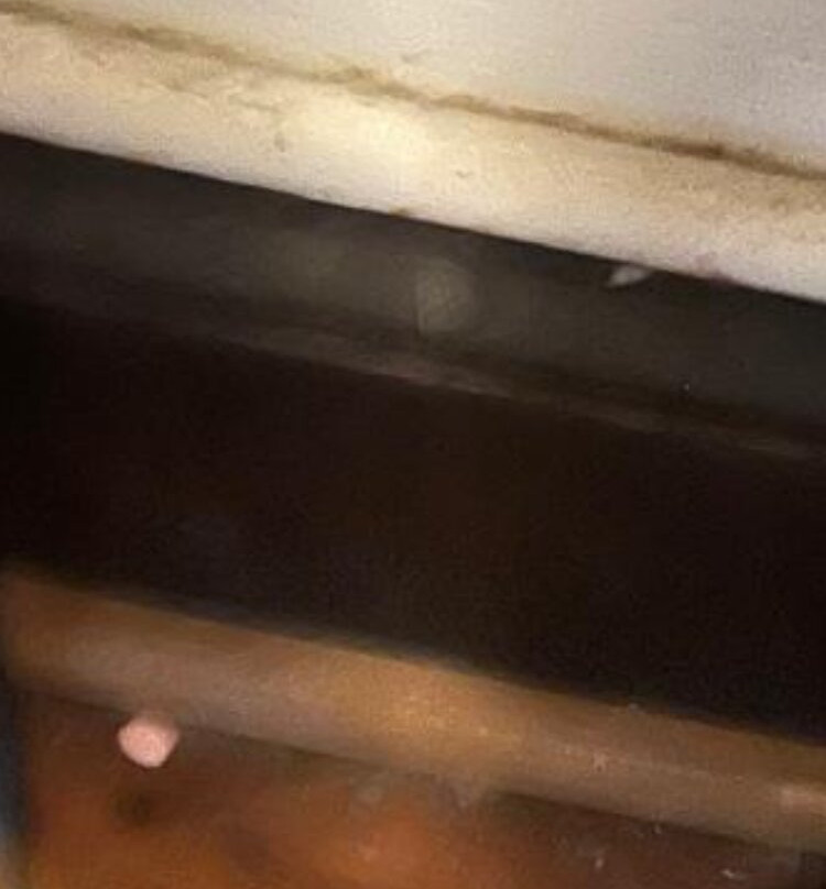 奥兰多公园广场酒店 - 温特帕克主图