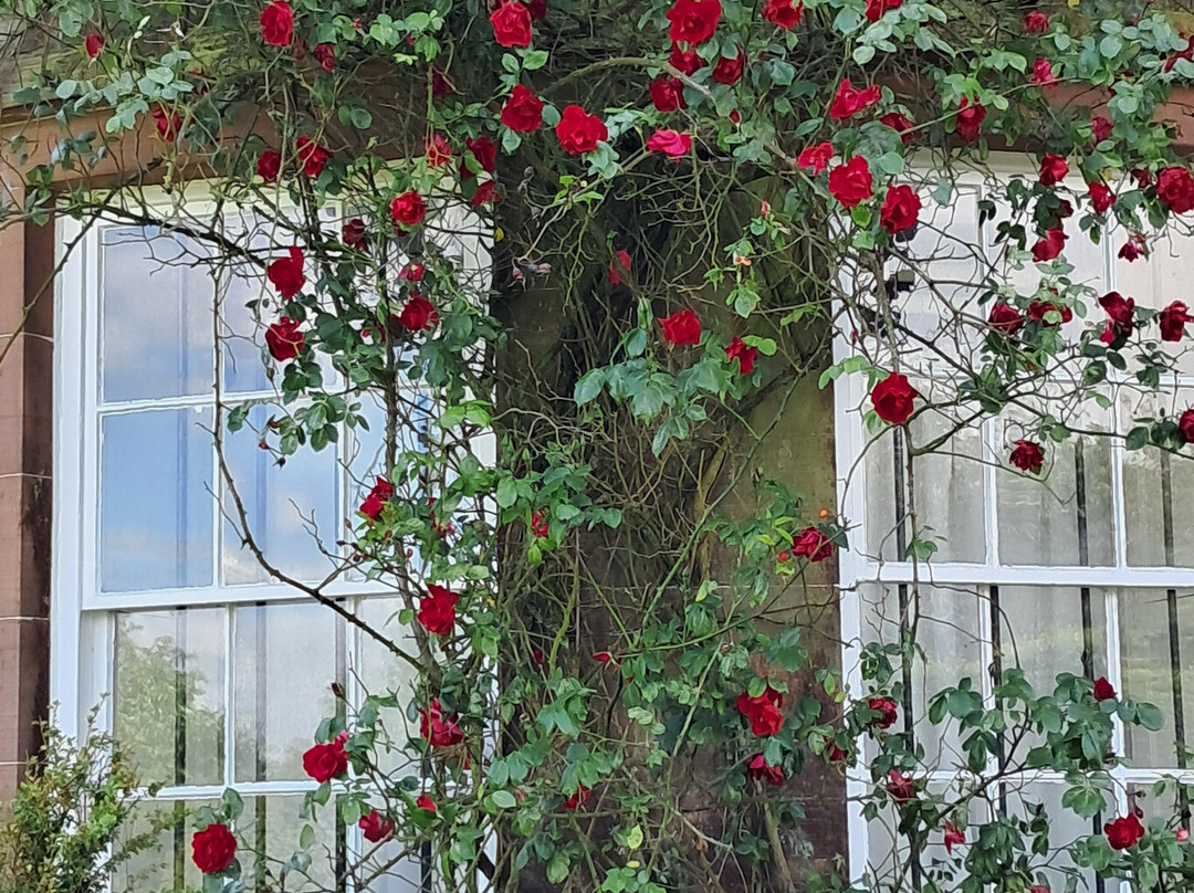 Arbigland House and Gardens-邓弗里斯必去景点