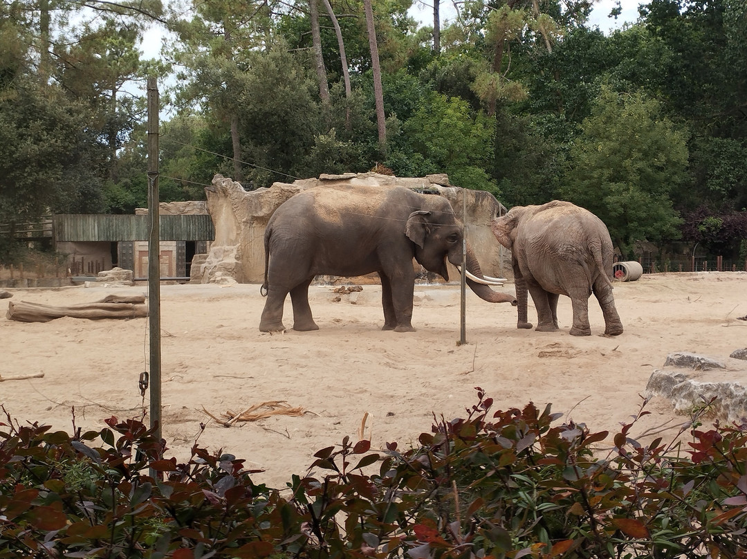 Zoo de La Palmyre-La Palmyre-Les Mathes必去景点