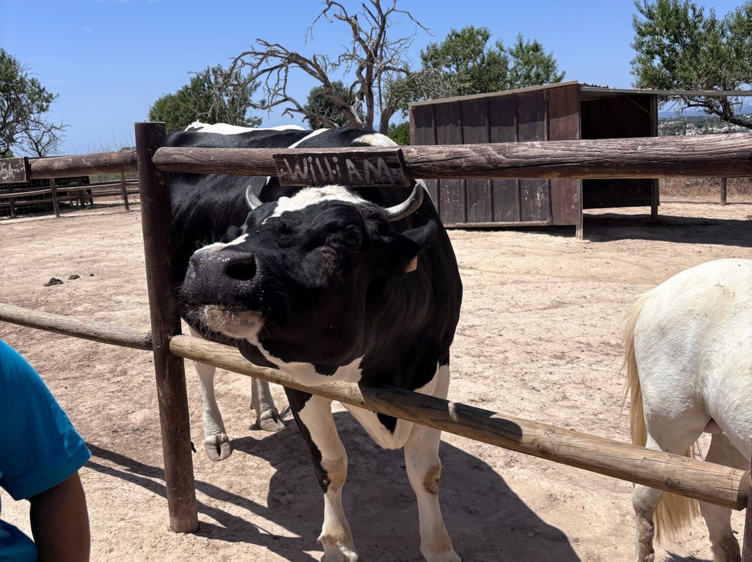 Quinta Fotoplanet Farm-阿尔布赞拉必去景点