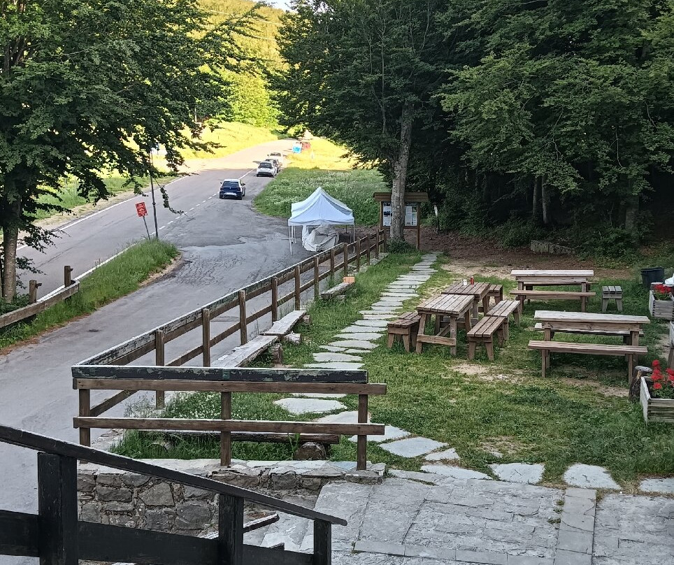 Albergo Ristorante Carpe Diem主图