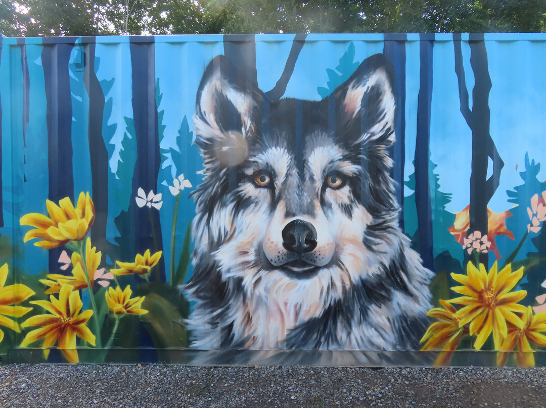Yamnuska Wolfdog Sanctuary-科克伦必去景点
