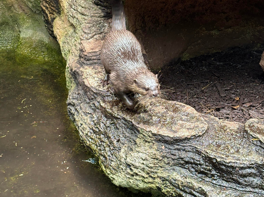 Bermuda Aquarium, Museum & Zoo-Hamilton Parish必去景点