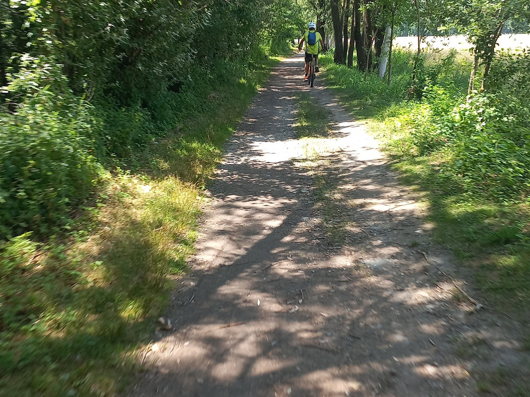 E-bike Val Grande-San Bernardino Verbano必去景点