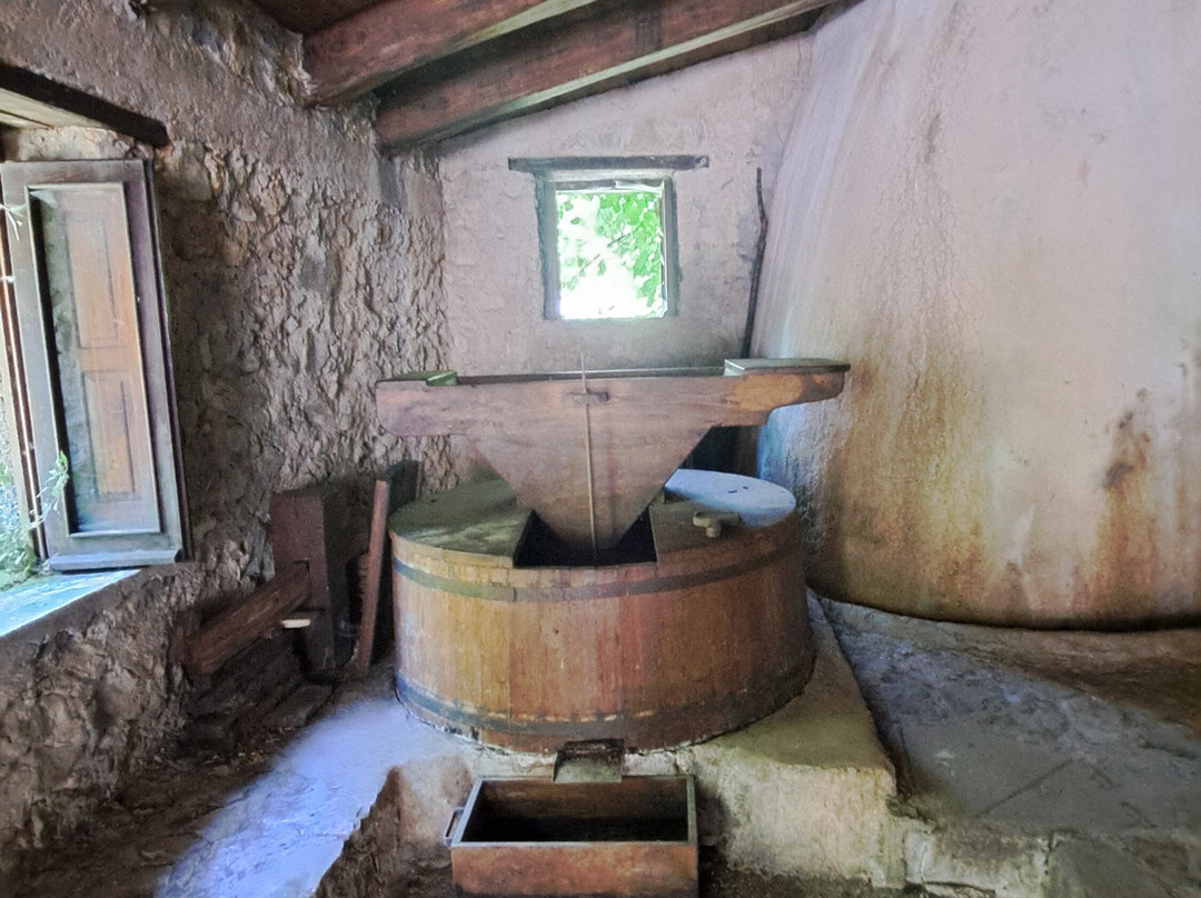 Oasi WWF Grotte del Bussento-Morigerati必去景点