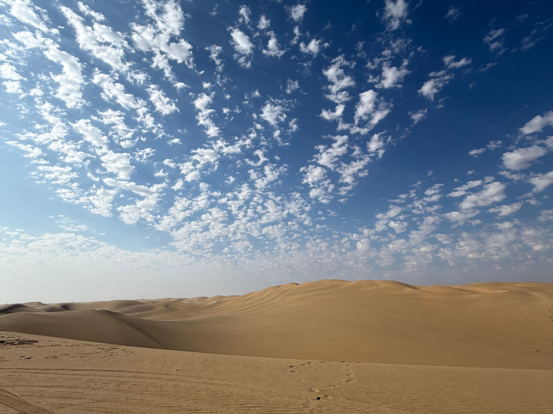 Desert Dunes & Dust Tours-斯瓦科普蒙德必去景点