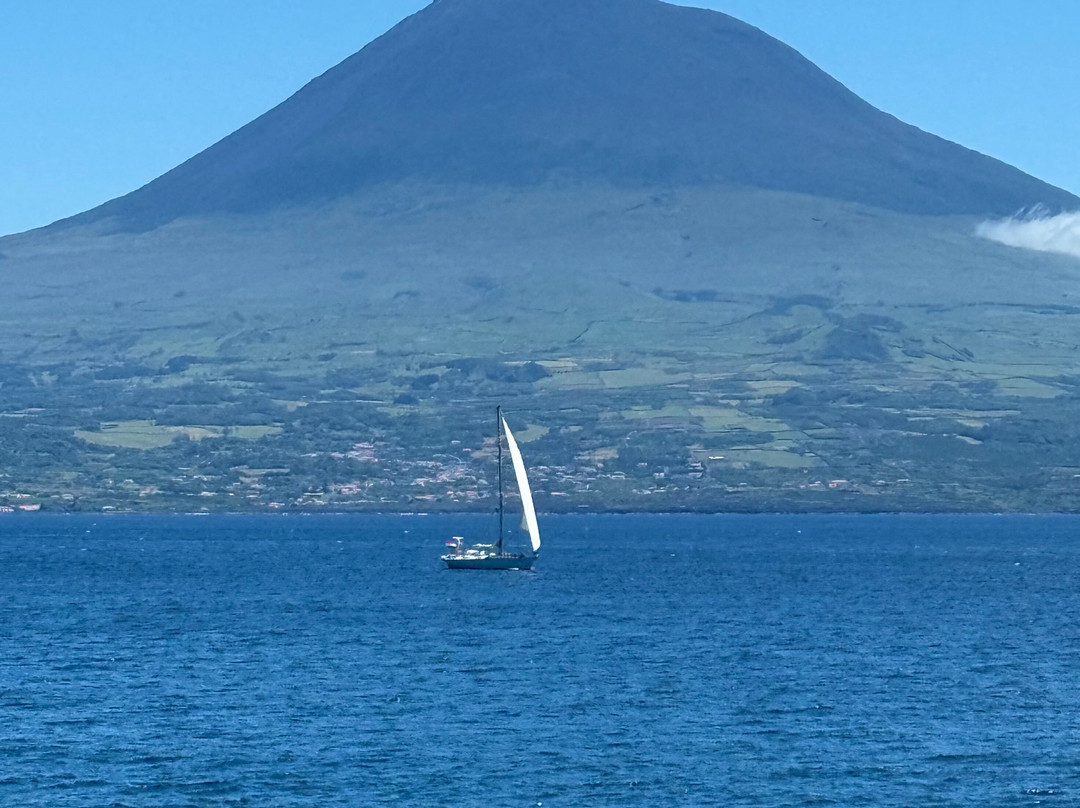 Endemic Azores-奥尔塔必去景点