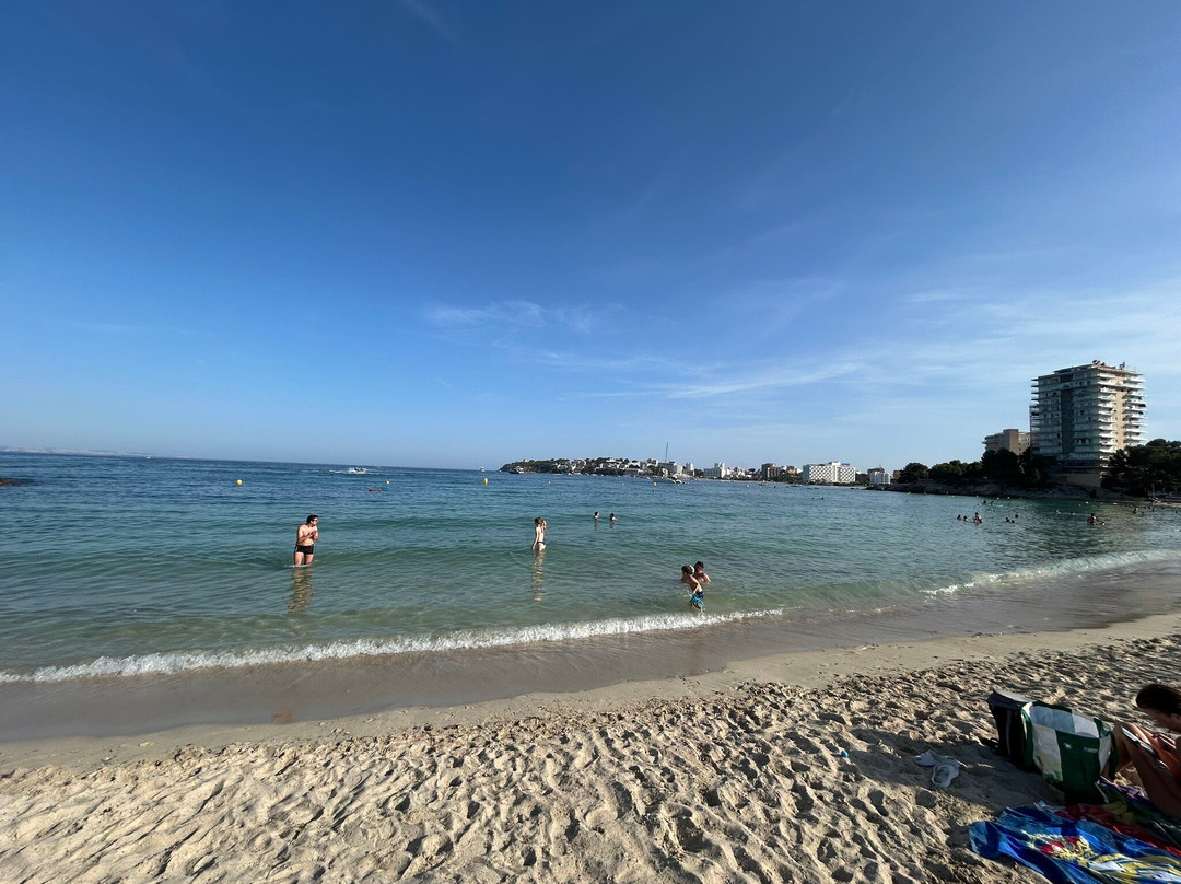 Palma Nova Beach-Palmanova必去景点