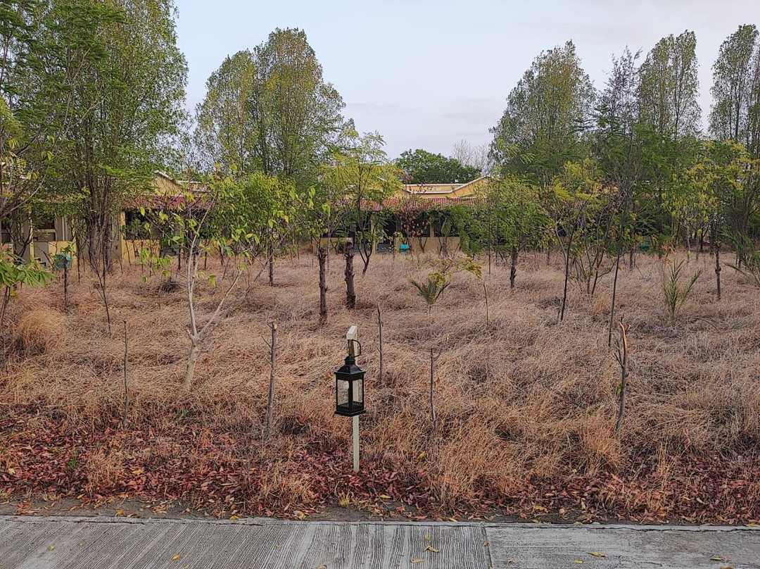 威拉瓦达尔黑羚野生动物园旅馆主图