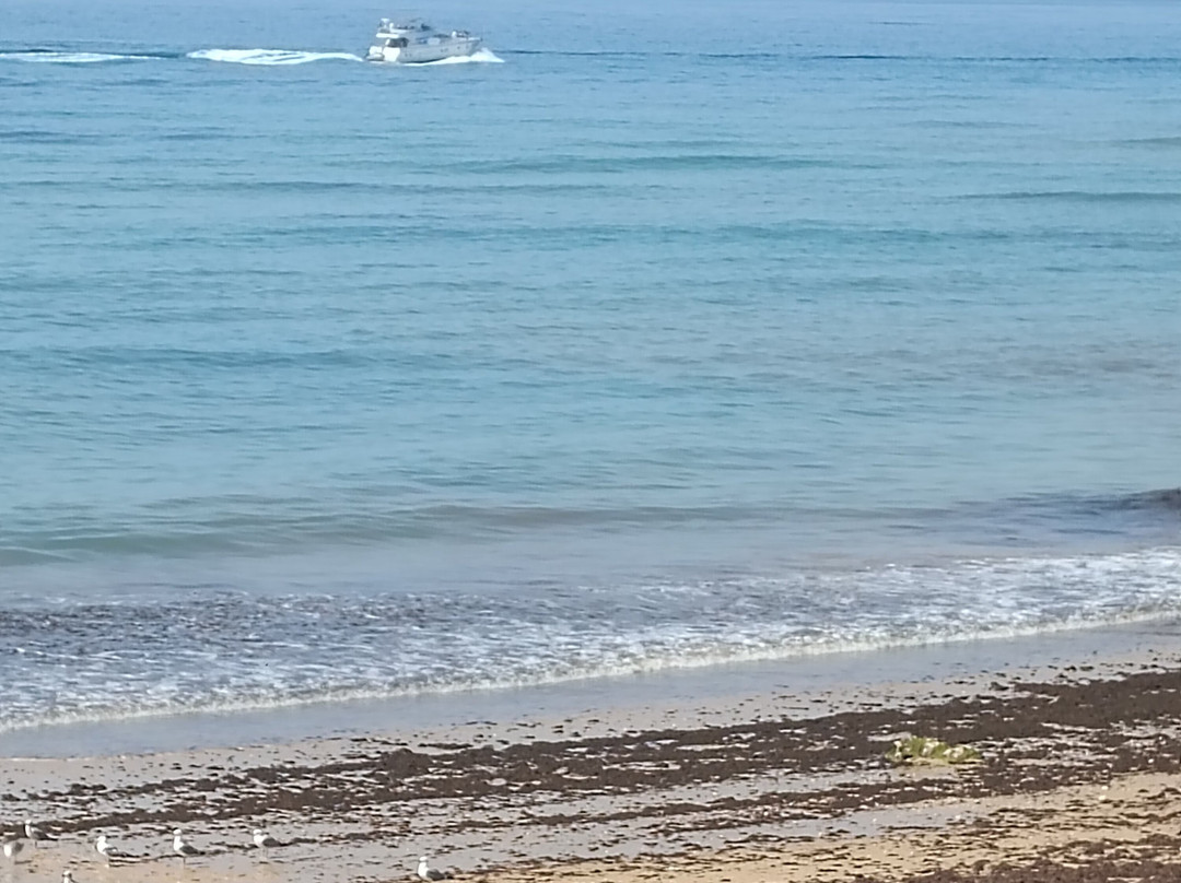 Praia Da Oura-阿尔布赞拉必去景点