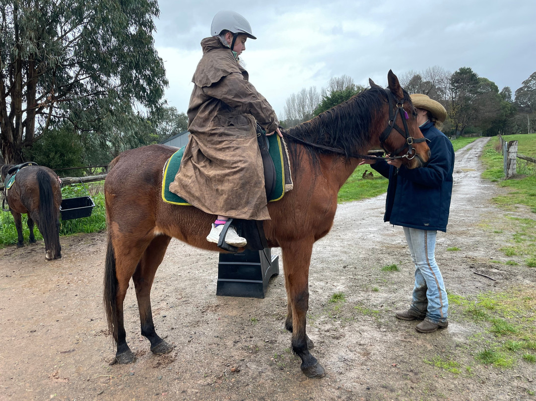 Watson's Mountain Country Trail Rides - Day Tours-曼斯菲尔德必去景点