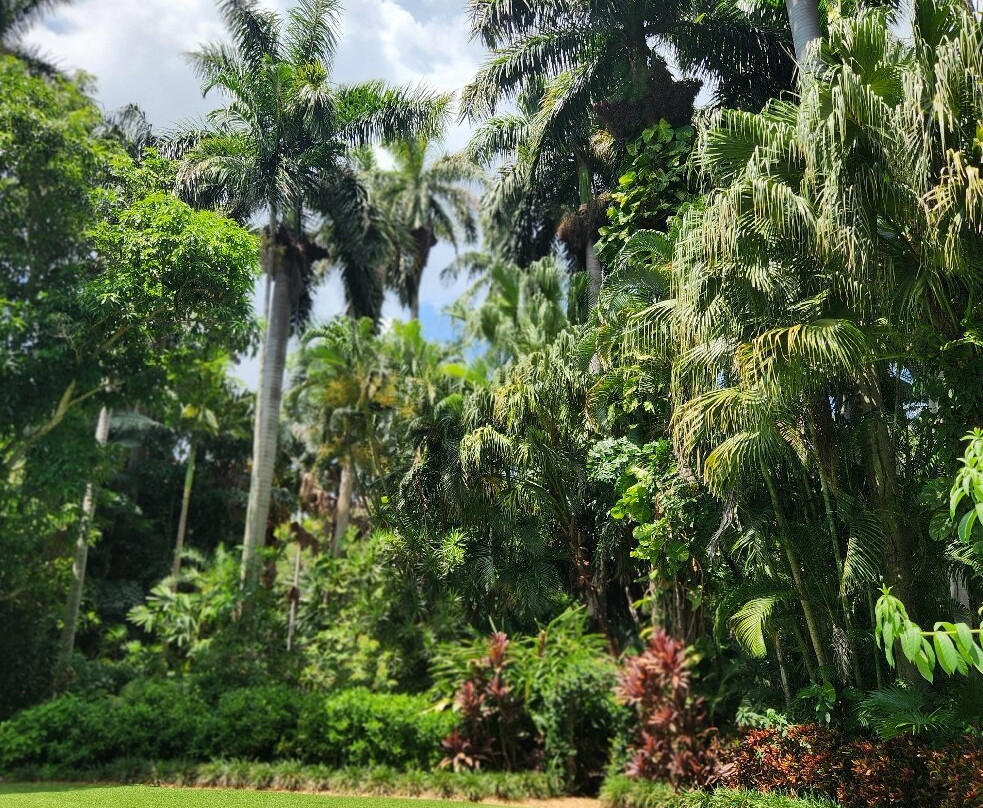 Sunken Gardens-圣彼德斯堡必去景点