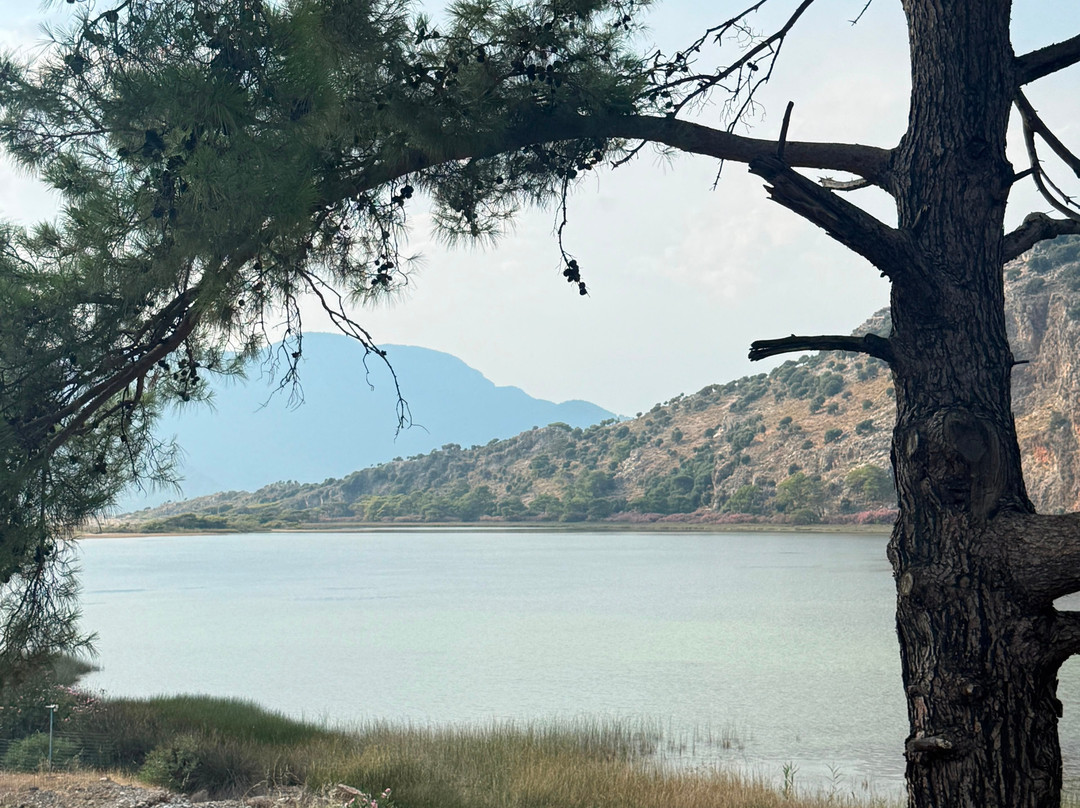 Iztuzu Beach-达利安必去景点