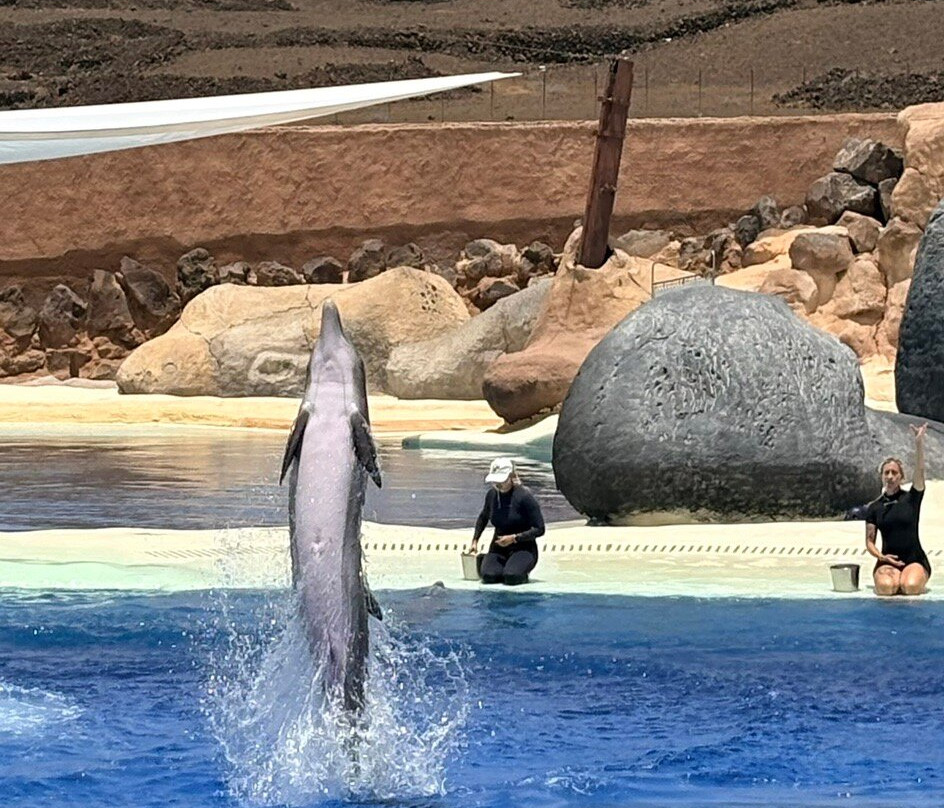 Rancho Texas Lanzarote Park-卡门港必去景点