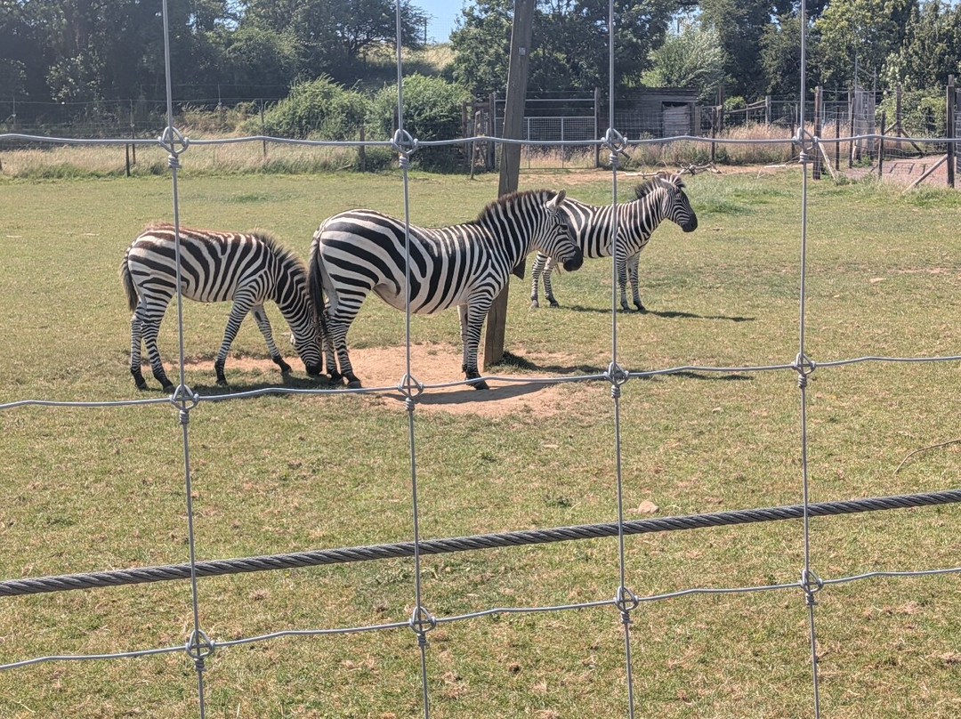 Noah's Ark Zoo Farm-Wraxall必去景点