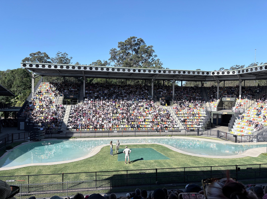 Australia Zoo-Beerwah必去景点