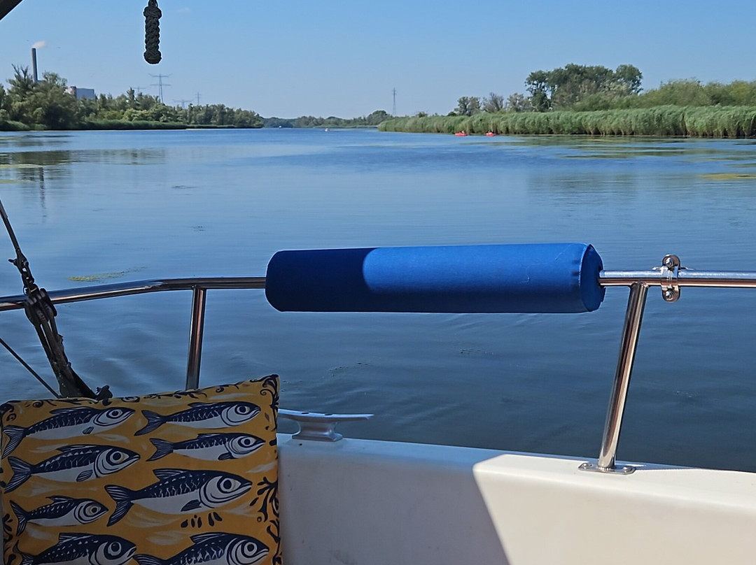 Biesbosch Mini Cruises-Drimmelen必去景点