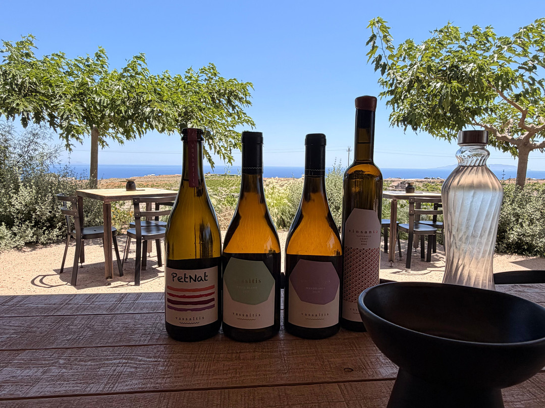 Vassaltis Vineyards-Vourvoulos必去景点