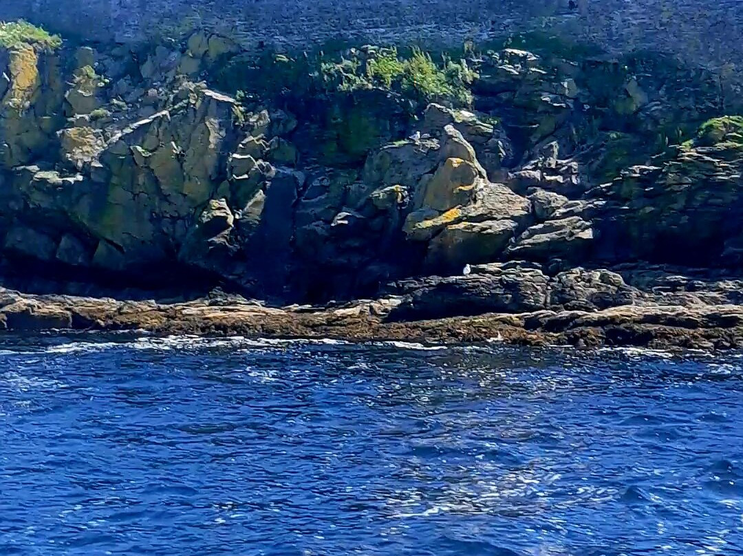 Killybegs Boat Tours-Killybegs必去景点