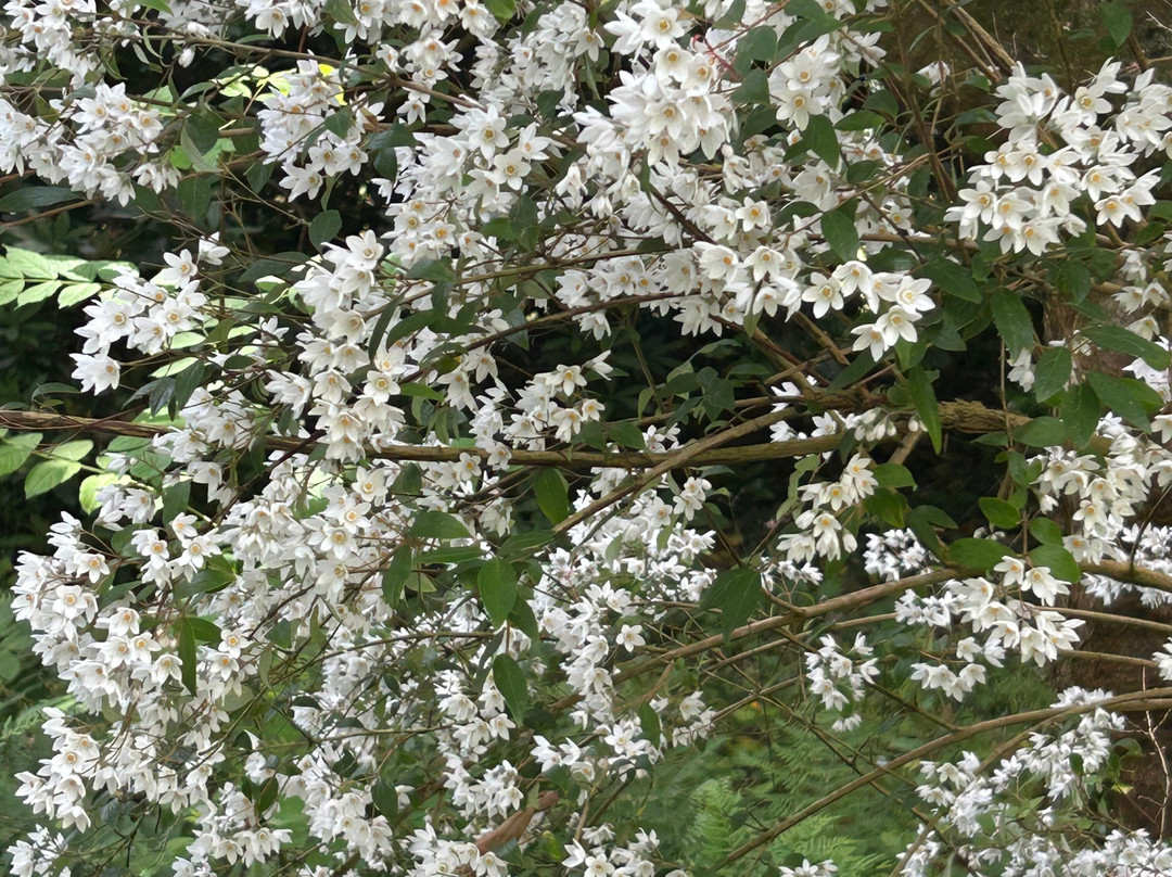 Hergest Croft Gardens-Kington必去景点