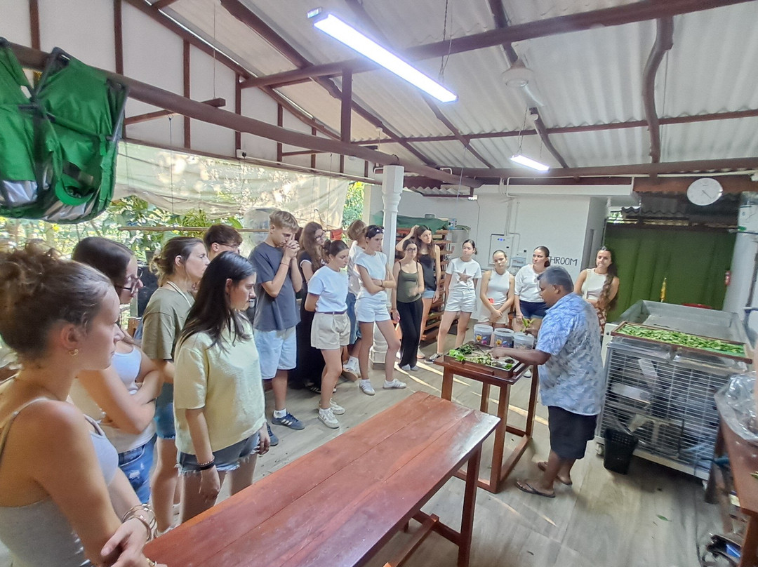 Ella Organic Tea Garden-Heeloya必去景点