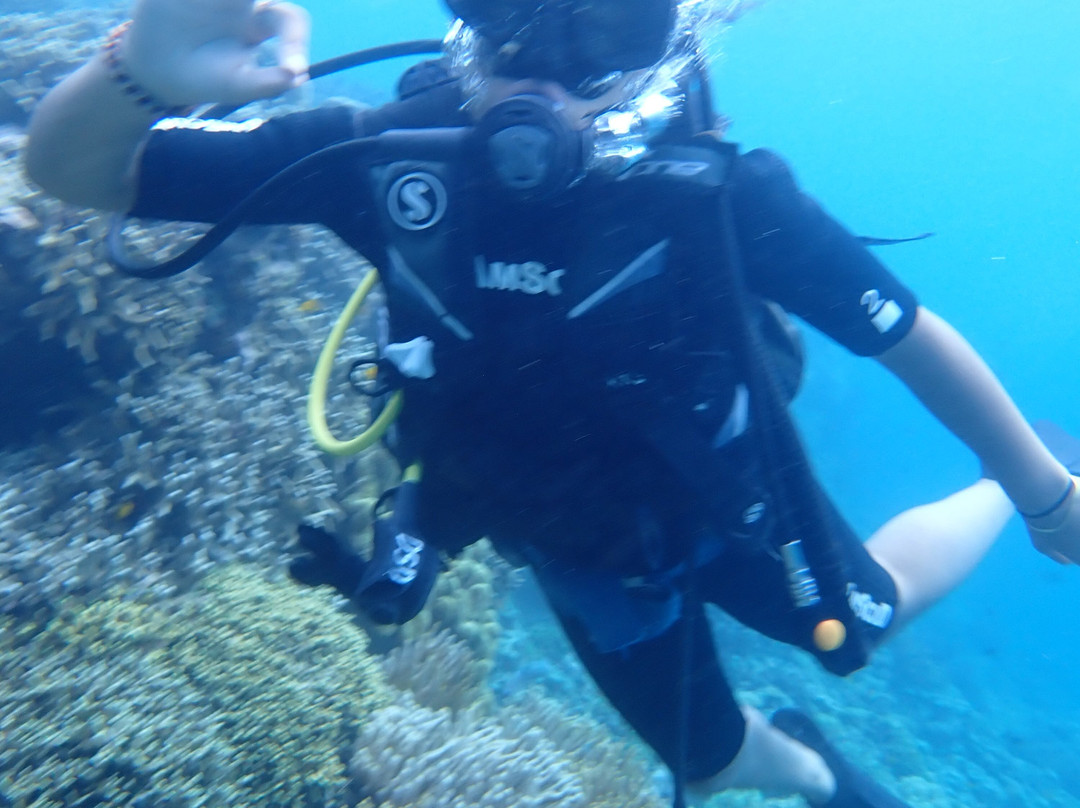 Menjangan Tour Snorkeling & Diving-Pejarakan必去景点