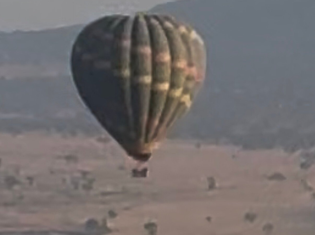 Nyssa Balloon Safaris-Seronera必去景点
