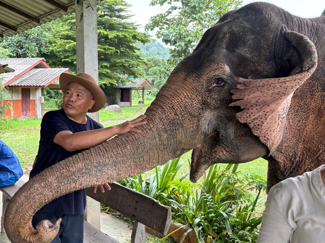 Doi Lom Elephant Rescue Sanctuary-夜登必去景点