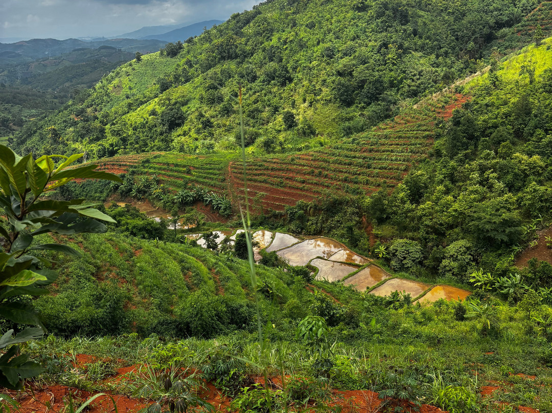 Highland Eco Tours-昆嵩必去景点