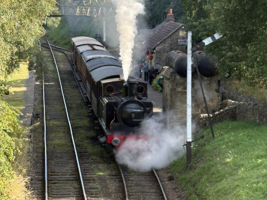Tanfield Railway-盖茨黑德必去景点