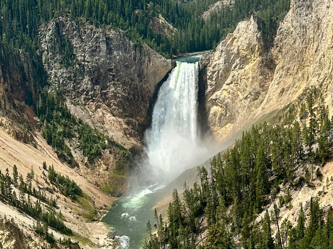 Jackson Hole Eco Tour Adventures-杰克逊必去景点