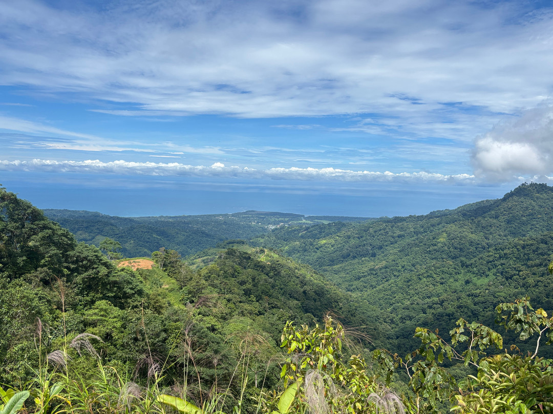 Jungle ATV Quad Tours-乌维塔必去景点