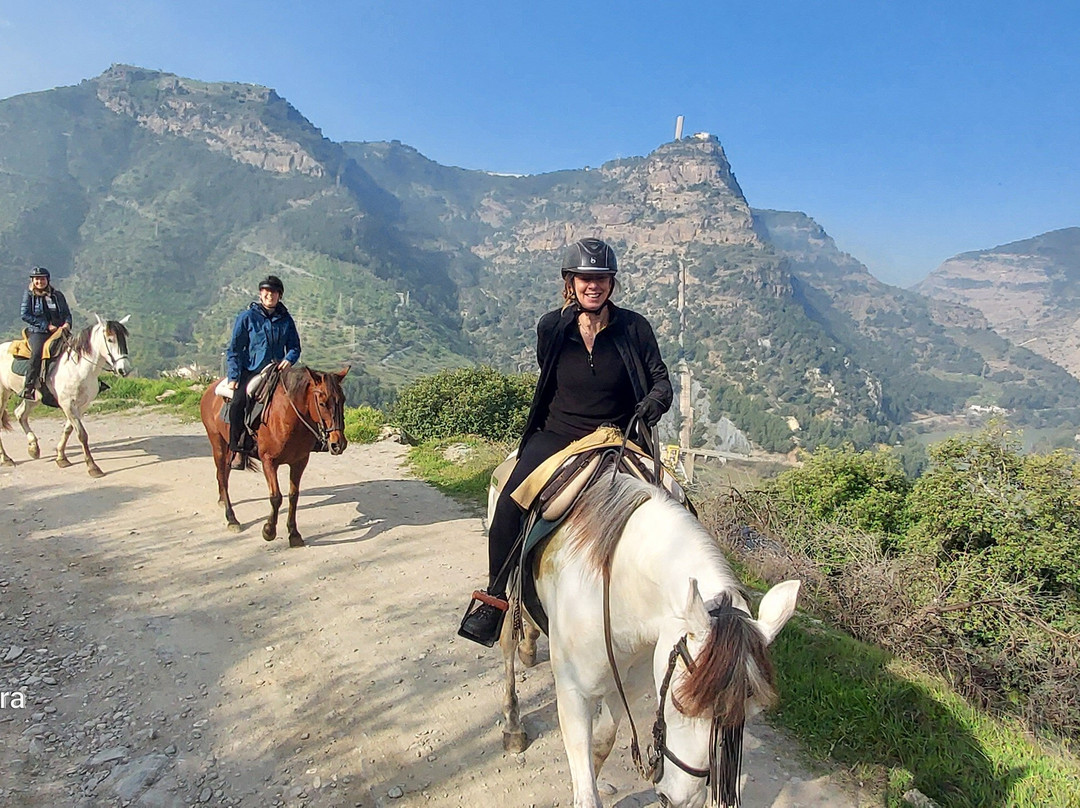 Horse Riding El Chorro-El Chorro必去景点