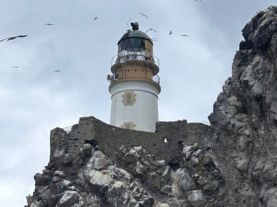 Scottish Seabird Centre-北柏威克必去景点