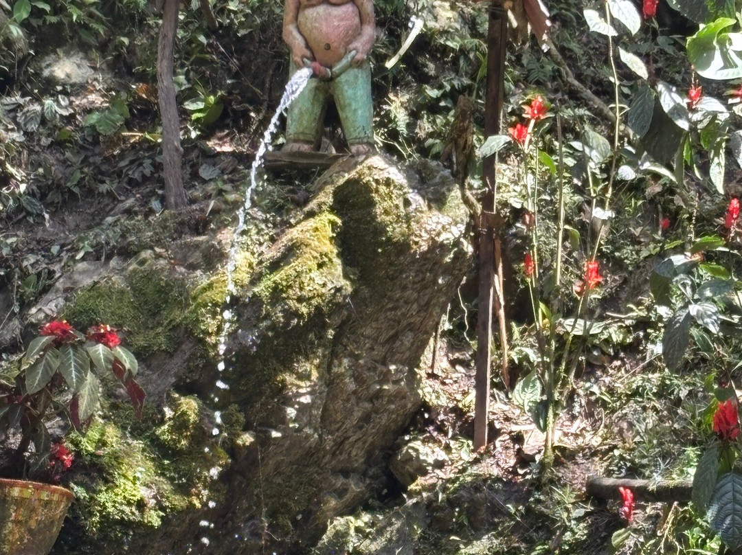 Taytamaki-Tarapoto必去景点