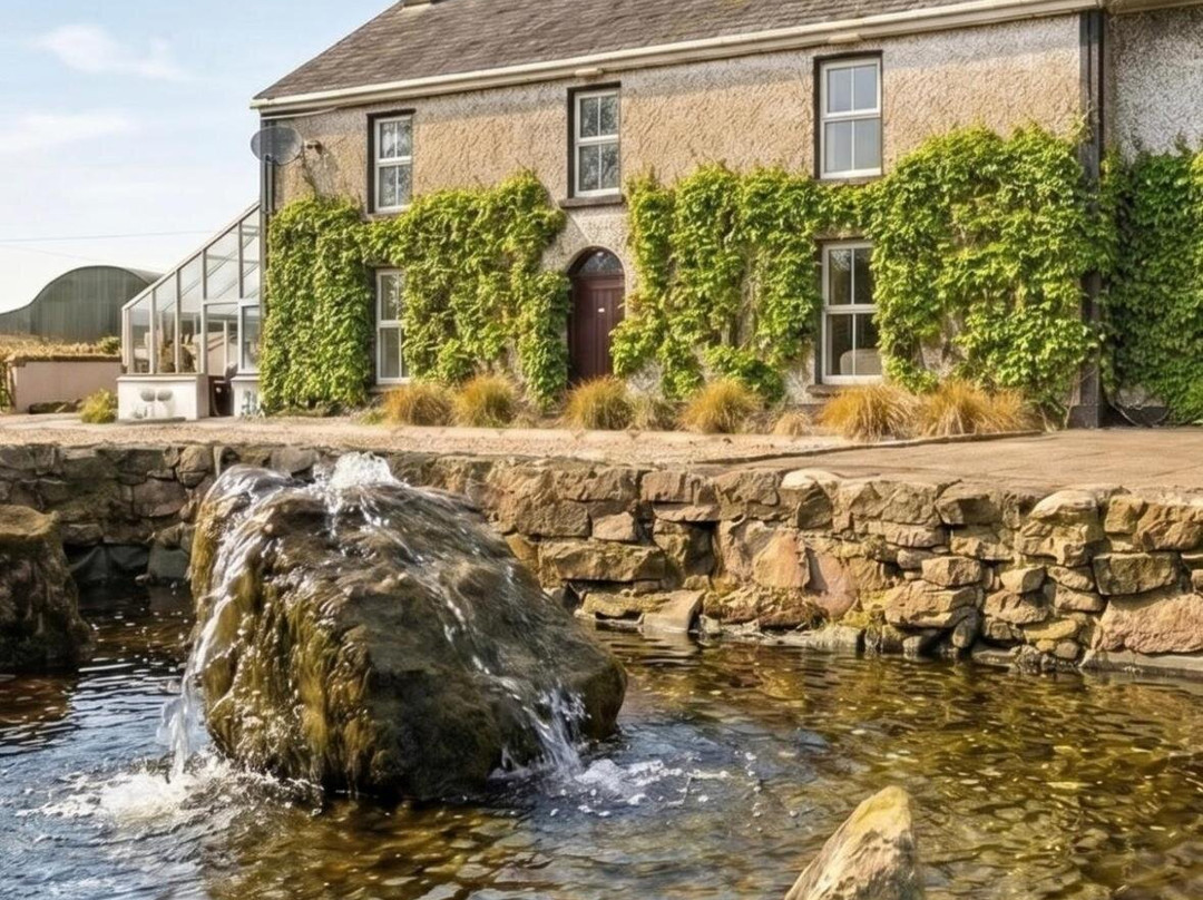 Fitz Of Inch - Guest House Rooms