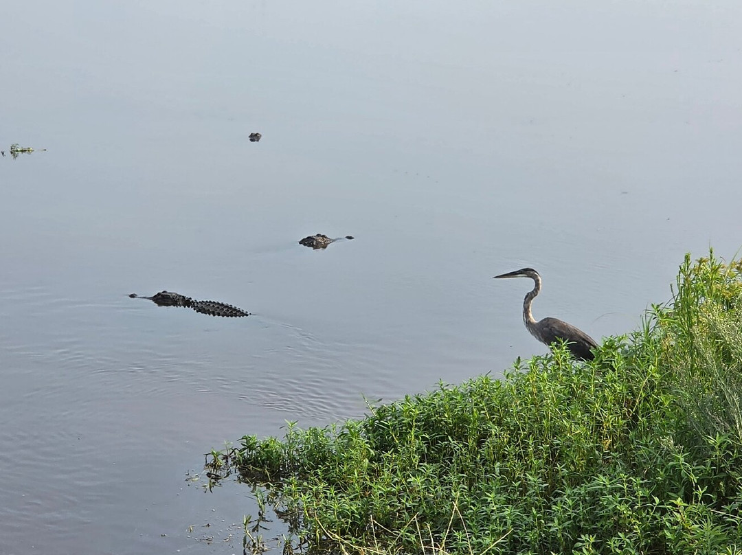 Savannah National Wildlife Refuge-Hardeeville必去景点