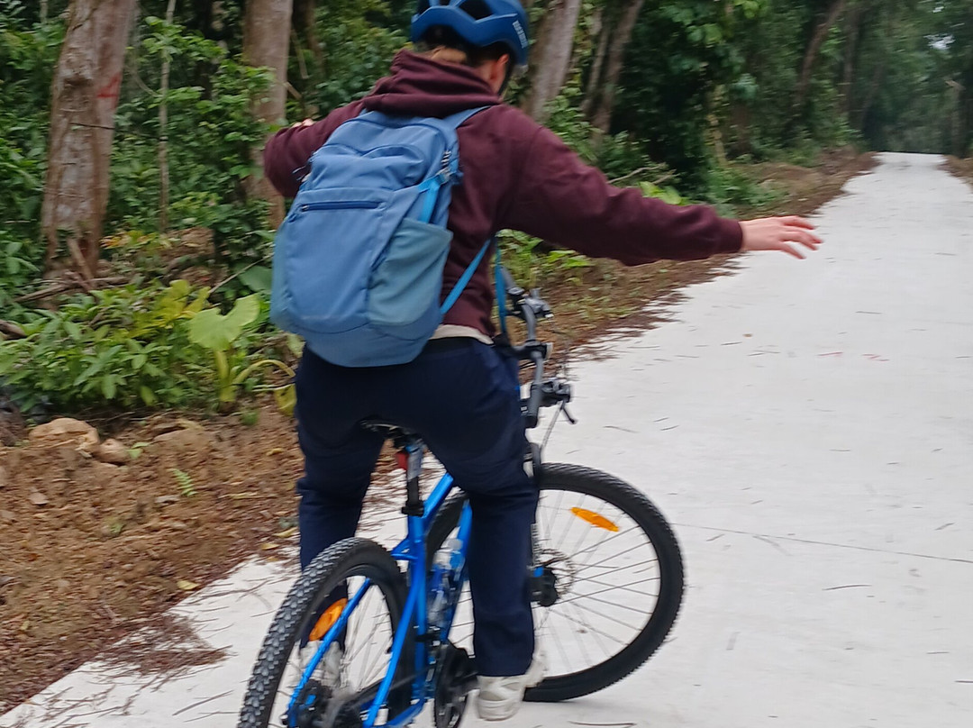 Cat Ba Wellness DMC-Cat Ba Town必去景点