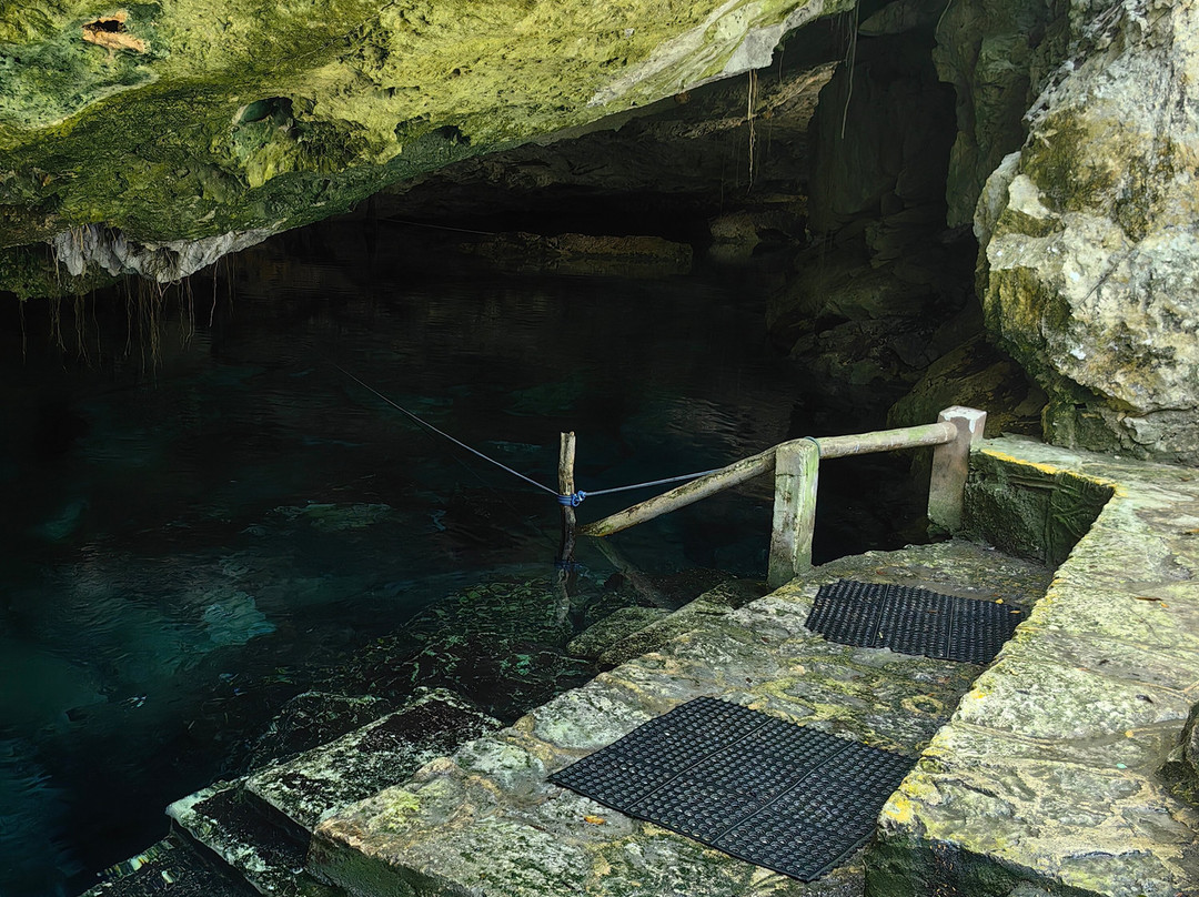 Dressel Divers - Barceló Maya Riviera-Barcelo Maya必去景点