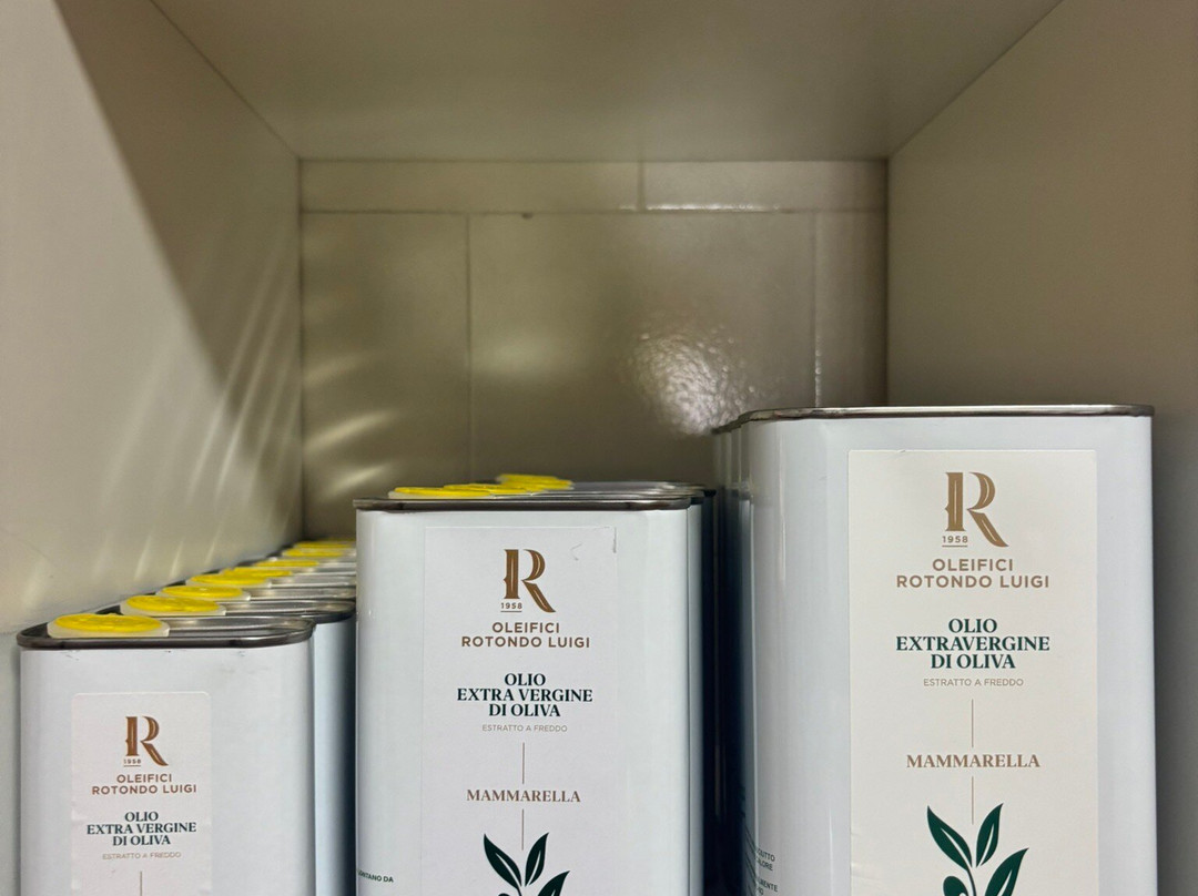 Oleifici Rotondo Luigi Olive Oil Tasting & Farm Tour-莫诺波利必去景点