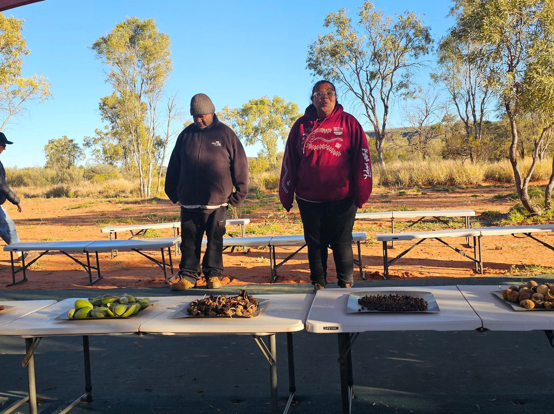 Karrke Aboriginal Cultural Experience & Tours-Kings Canyon必去景点